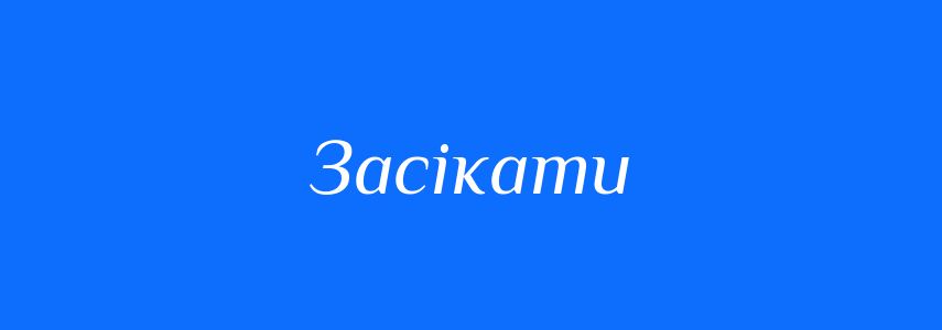Синоніми до слова Засікати