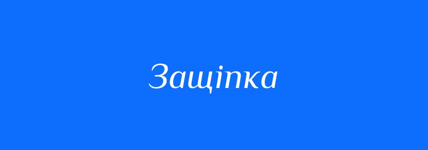 Синоніми до слова Защіпка