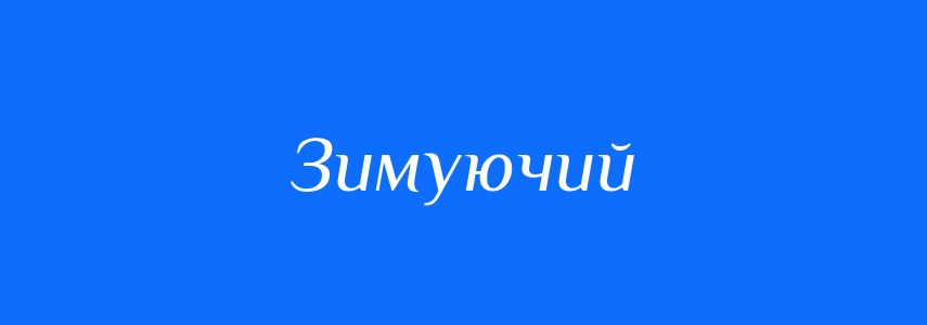Синоніми до слова Зимуючий
