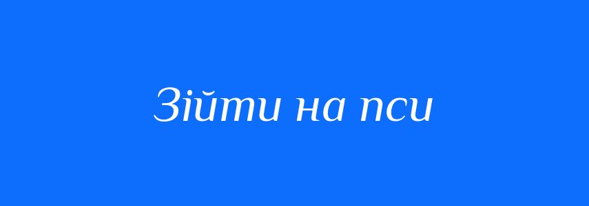 Синоніми до слова Зійти на пси