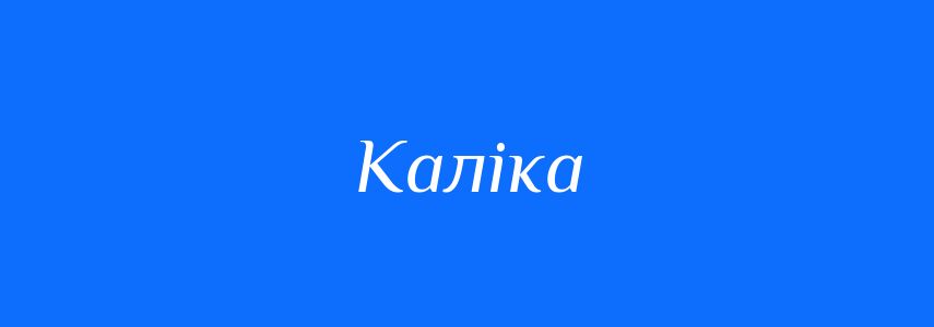 Синоніми до слова Каліка
