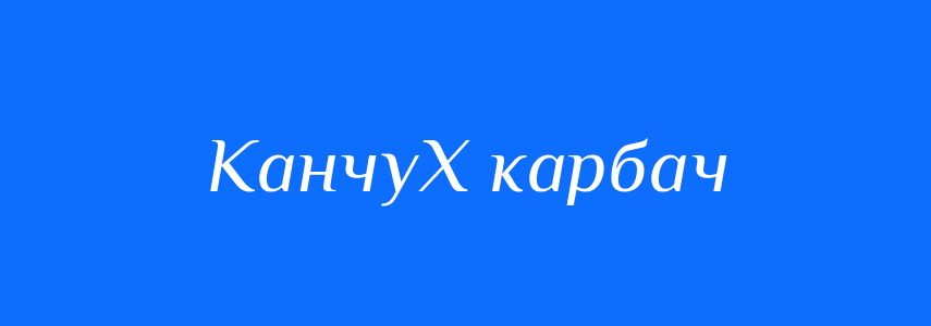 Синоніми до слова КанчуХ карбач
