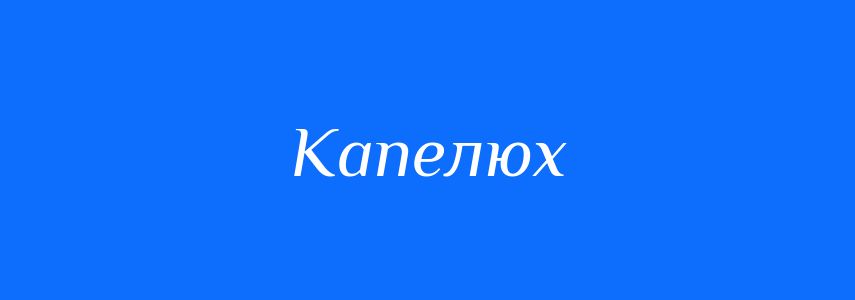 Синоніми до слова Капелюх