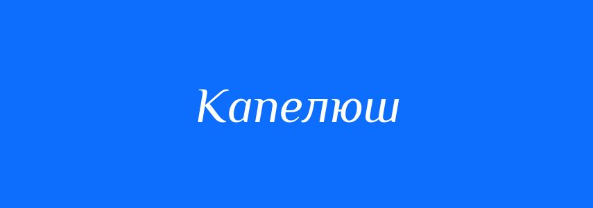 Синоніми до слова Капелюш