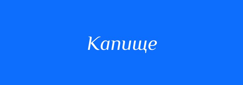 Синоніми до слова Капище