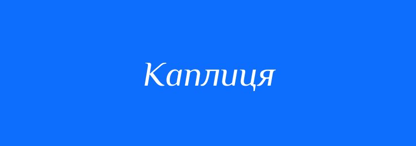 Синоніми до слова Каплиця