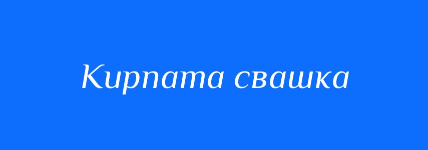 Синоніми до слова Кирпата свашка
