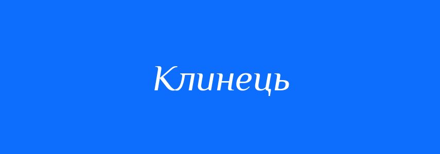 Синоніми до слова Клинець
