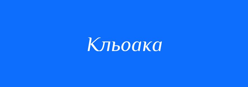 Синоніми до слова Кльоака