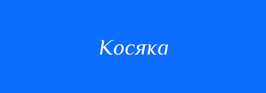 Синоніми до слова Косяка