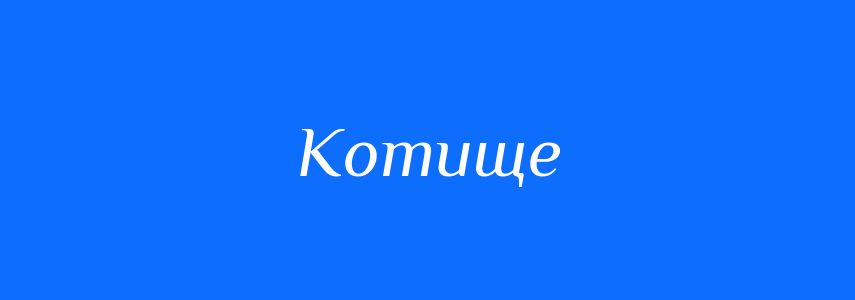 Синоніми до слова Котище