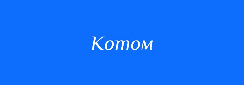 Синоніми до слова Котом