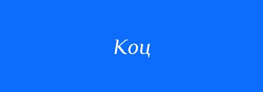 Синоніми до слова Коц