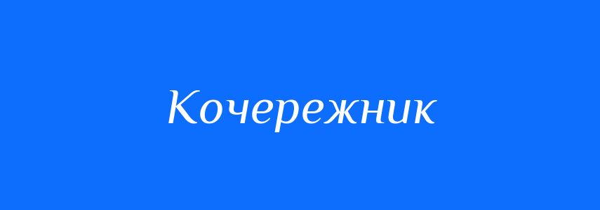 Синоніми до слова Кочережник
