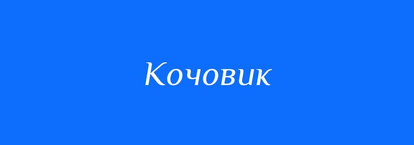 Синоніми до слова Кочовик