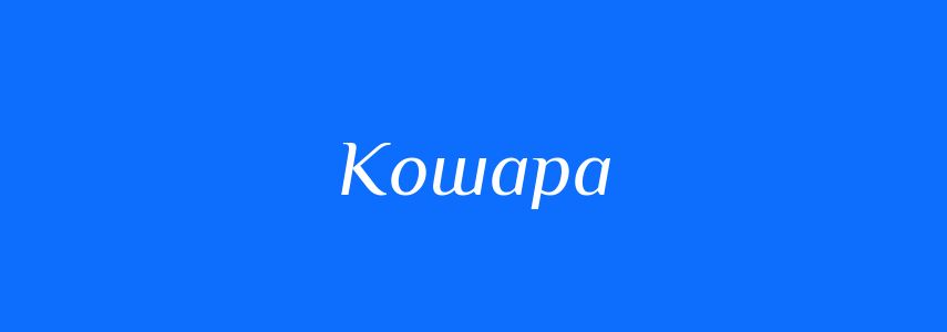 Синоніми до слова Кошара