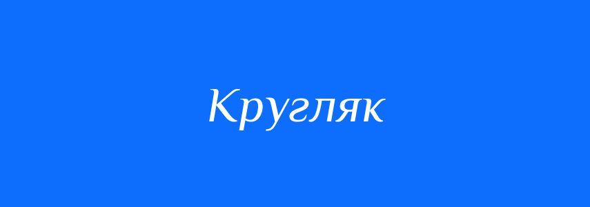 Синоніми до слова Кругляк