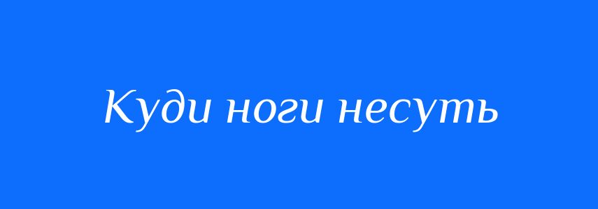 Синоніми до слова Куди ноги несуть