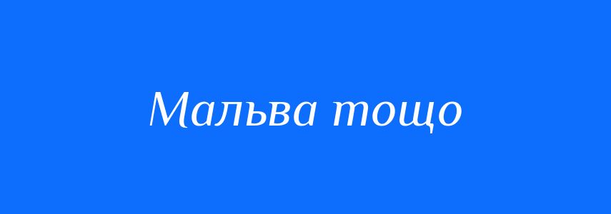 Синоніми до слова Мальва тощо