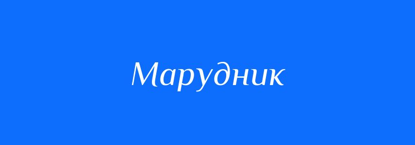 Синоніми до слова Марудник