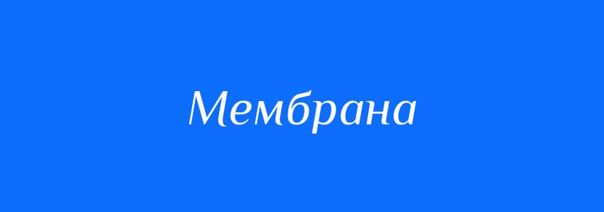 Синоніми до слова Мембрана
