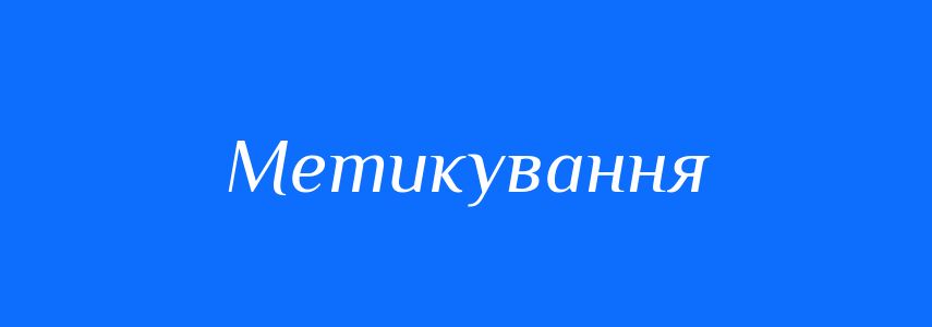 Синоніми до слова Метикування