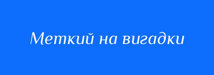 Синоніми до слова Меткий на вигадки