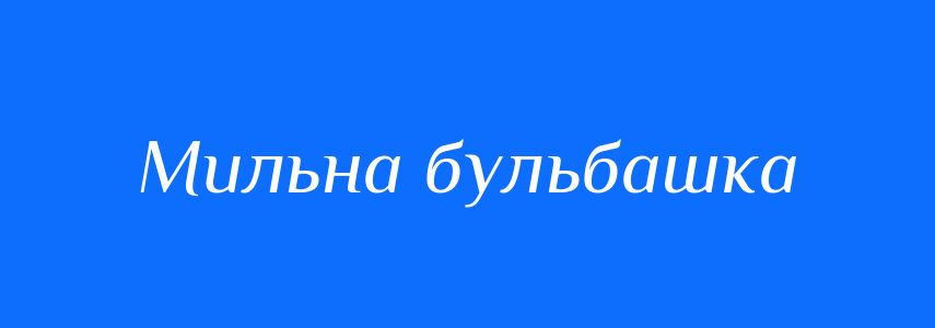 Синоніми до слова Мильна бульбашка