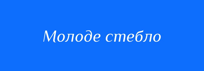 Синоніми до слова Молоде стебло