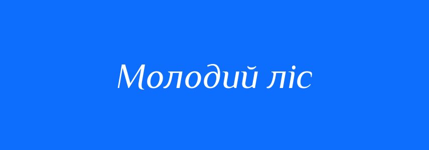 Синоніми до слова Молодий ліс