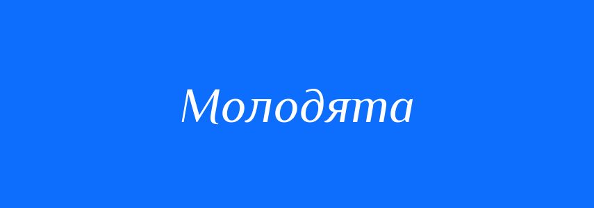 Синоніми до слова Молодята