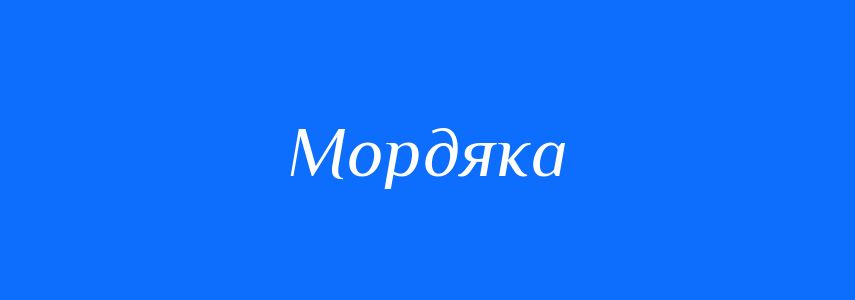 Синоніми до слова Мордяка