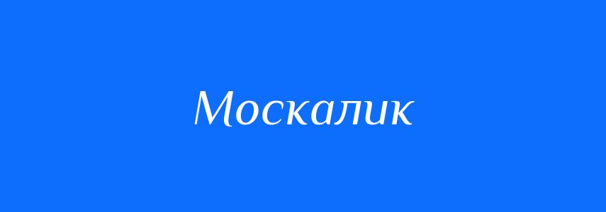 Синоніми до слова Москалик