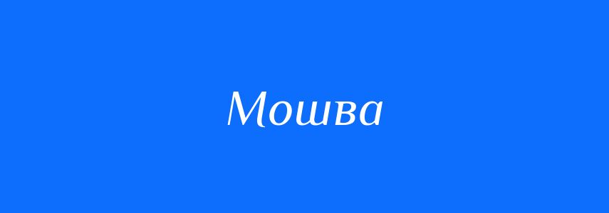 Синоніми до слова Мошва