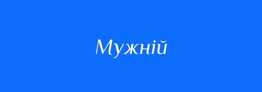 Синоніми до слова Мужній
