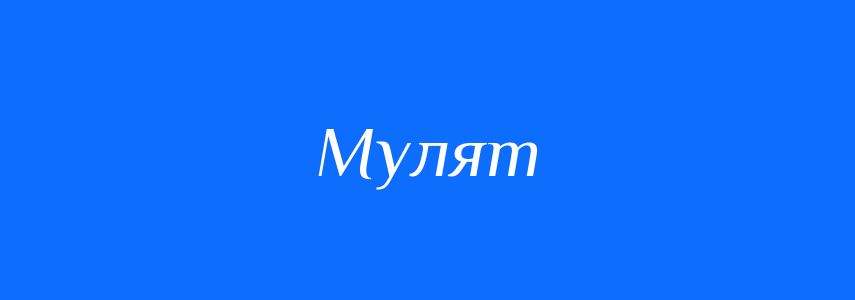 Синоніми до слова Мулят