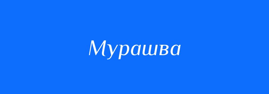 Синоніми до слова Мурашва