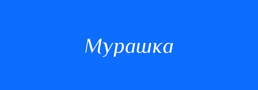 Синоніми до слова Мурашка