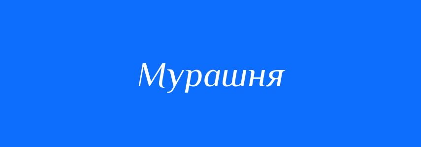 Синоніми до слова Мурашня