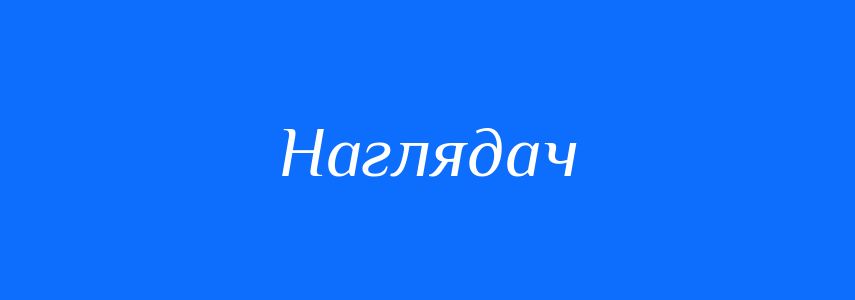 Синоніми до слова Наглядач