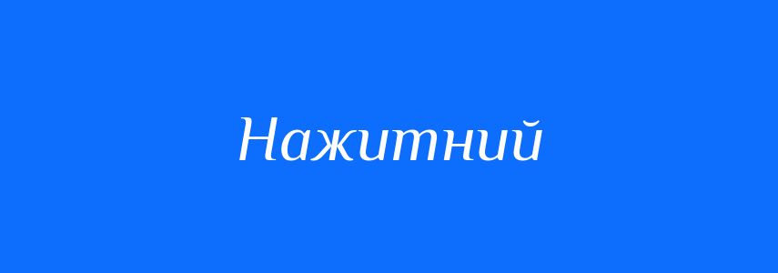 Синоніми до слова Нажитний
