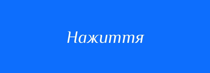 Синоніми до слова Нажиття