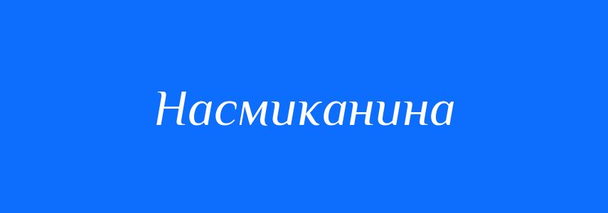 Синоніми до слова Насмиканина