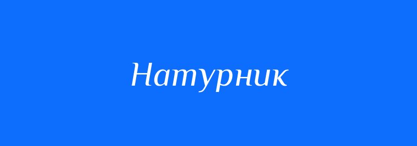 Синоніми до слова Натурник