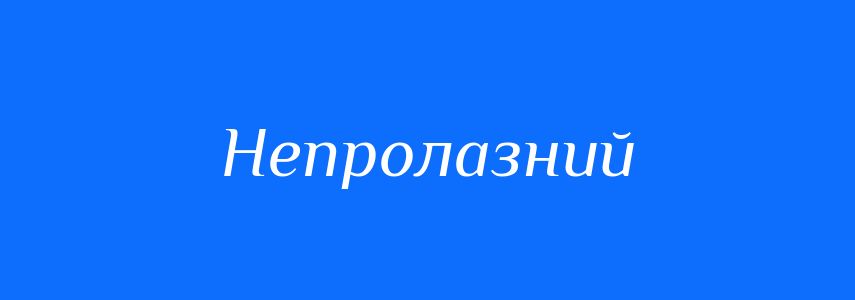 Синоніми до слова Непролазний