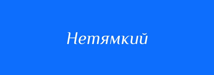 Синоніми до слова Нетямкий