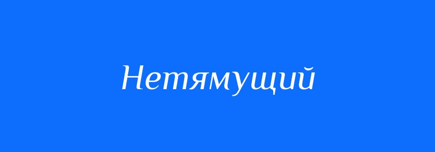 Синоніми до слова Нетямущий