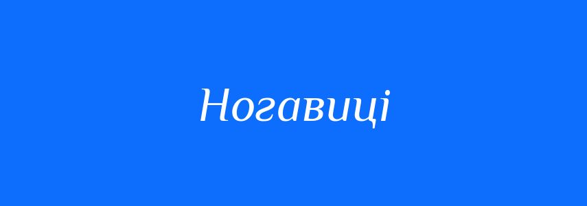 Синоніми до слова Ногавиці