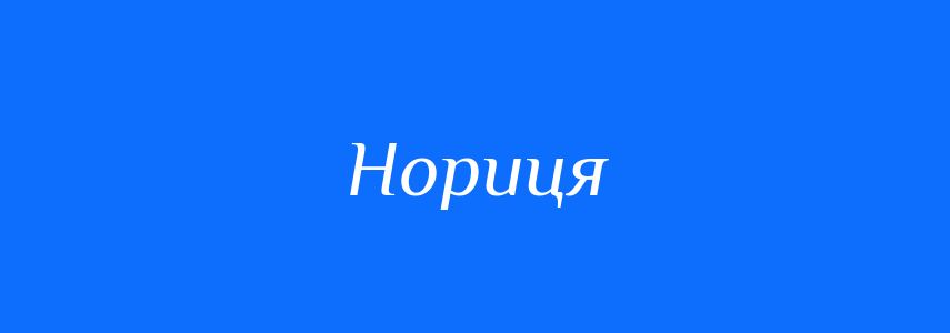 Синоніми до слова Нориця