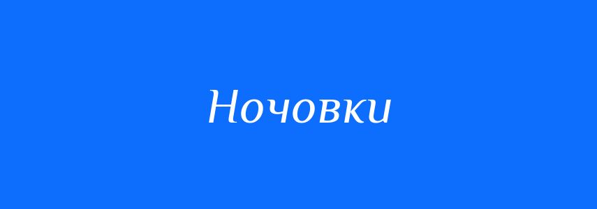 Синоніми до слова Ночовки